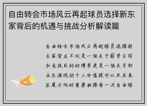 自由转会市场风云再起球员选择新东家背后的机遇与挑战分析解读篇